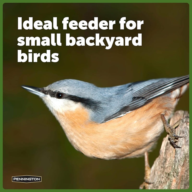 Pennington Songbird Lantern Bird Feeder, Red, 8 inches high 6 inches Wide at top, (100511311) (Pack of 2) - Image 4